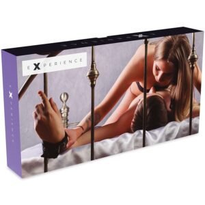 471 EXPERIENCE BDSM KIT