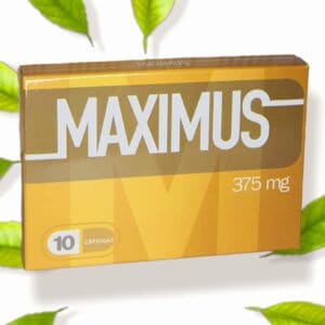 1496 MAXIMUS