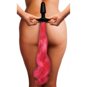 2513 PLUG ANAL PONEI