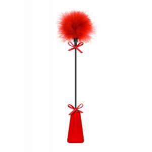 2549 PALA ESPANADOR DE PLUMAS