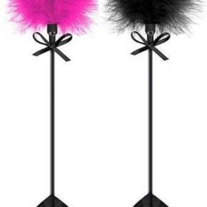 2553 CHICOTE COM PLUMA