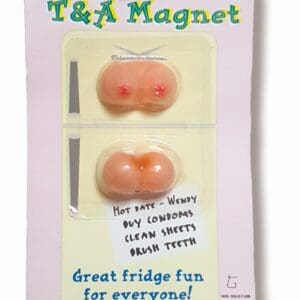 16691 TA MAGNET