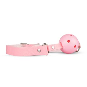 17839 SECRET PLEASURE CHEST PINK PASSION