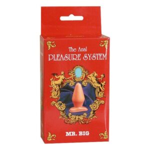 19692 THE ANAL PLEASURE SYSTEM MR. BIG