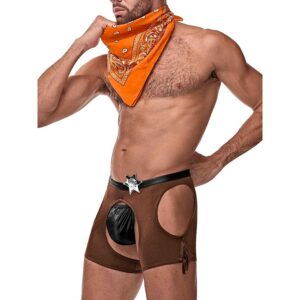 20564 MALE POWER COCKY COWBOY SM