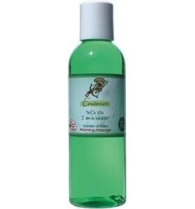 8448 INVIT CLASS WARMING MELAO E MACA VERDE 100 ML