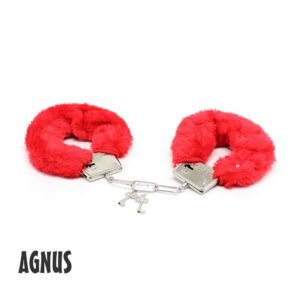 5487 ALGEMAS AGNUS
