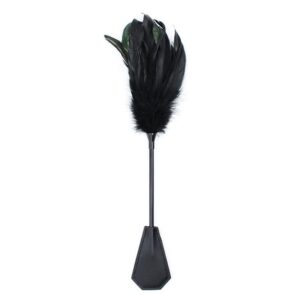 12957 ESPANADOR E PA 2 EM 1 38 CM PRETO