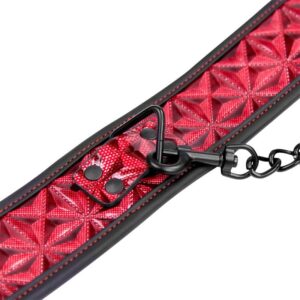 DIAMOND COLLAR WITH LEASH