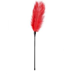 PLUMA ROSA