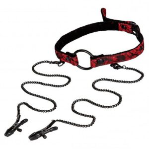 OPEN MOUTH GAG WITH CLAMPS
