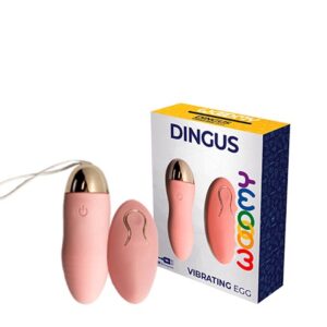 DINGUS