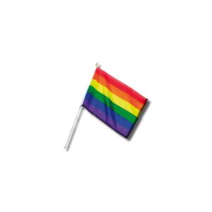 BANDEIRA LGBT