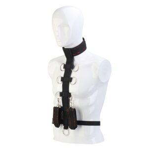 COLLAR BODY RESTRAINT