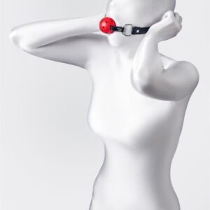 GAG Nº0303