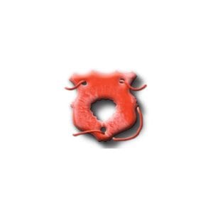TANGA COMESTIVEL MORANGO UNISEX