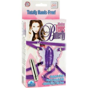 VENUS BUTTERFLY