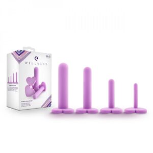CONJUNTO 4 DILATADORES VAGINAIS WELLNESS ROXO