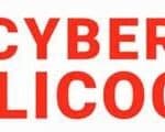 Cyber Silicock