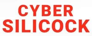 179 Cyber Silicock