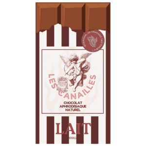 CHOCOLTE DE LEITE 100G