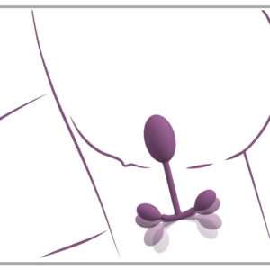 Treinador Vaginal com Pesos Quicadores